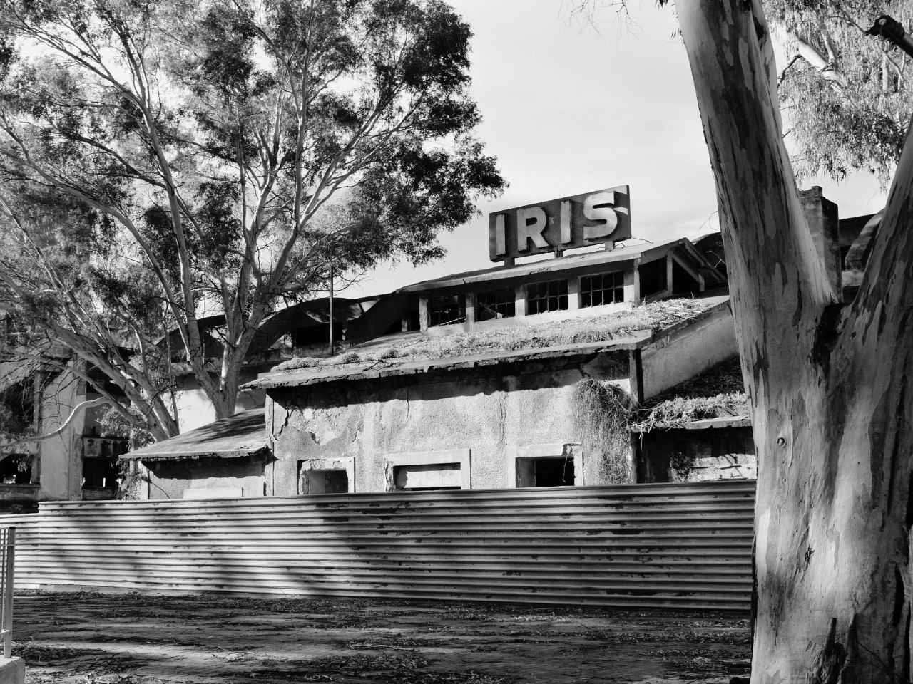 The three-dimensional documentation and the safeguarding of industrial heritage: the example of the IRIS industry in Eleusis